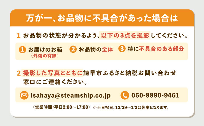 ※【2027年1月より順次発送／先行予約】伊木力温州みかん 10kg（ご家庭用）/ みかん ミカン 蜜柑 フルーツ 果物 / 諫早市 / 末永果樹園 [AHBD001]