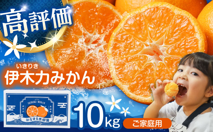 〈1週間以内に発送〉伊木力みかん (家庭用) 10kg / みかん ミカン 蜜柑 オレンジ フルーツ 果物 / 諫早市 / 山野果樹園 [AHCF001]【諫早市市制施行20周年特別企画】