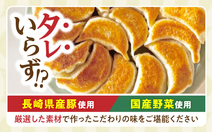 【12回定期便】《餃子のかわしも》かわしも焼き餃子お徳用45個入りパッケージ [AHBM008]