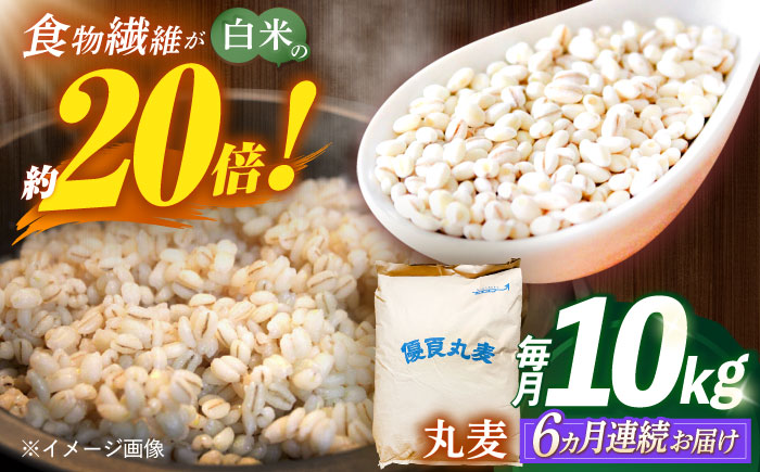 【全6回定期便】 長崎県産 丸麦 10kg / 麦 むぎ 雑穀 雑穀米 麦ごはん 麦飯 麦みそ 食物繊維 / 諫早市 / 有限会社伊東精麦 [AHBU007]