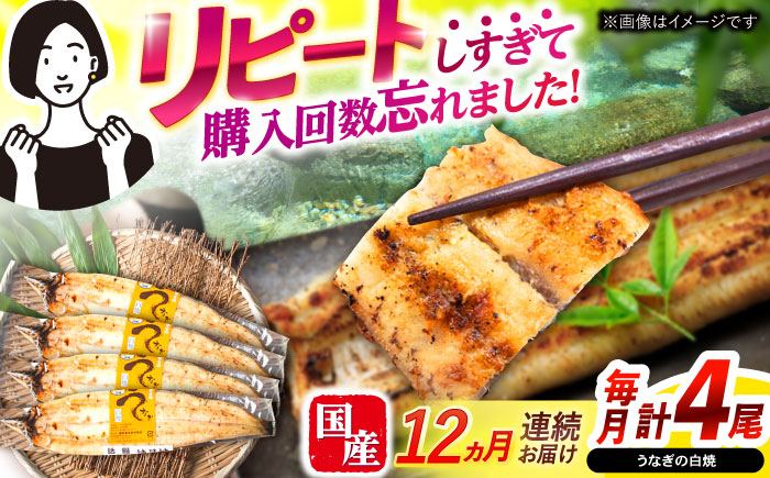 【12回定期便】【諫早淡水】うなぎ白焼き4尾  / うなぎ 白焼き 栄養価 小分け 冷凍 / 諫早市 / 諫早淡水 [AHAT050]