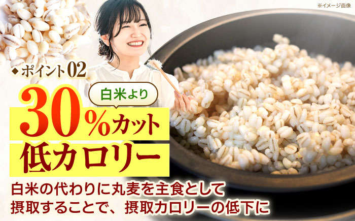 【全12回定期便】 長崎県産 丸麦 10kg / 麦 むぎ 雑穀 雑穀米 麦ごはん 麦飯 麦みそ 食物繊維 長崎県産 米 こめ コメ ※ / 諫早市 / 有限会社伊東精麦 [AHBU008]