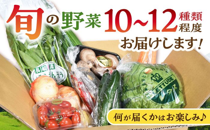 諫早のんのこ彩菜・詰め合わせ 10～12品目程度 / 季節 旬 野菜 春野菜 夏野菜 秋野菜  / 諫早市 / 肥前グローカル株式会社 [AHDI005]