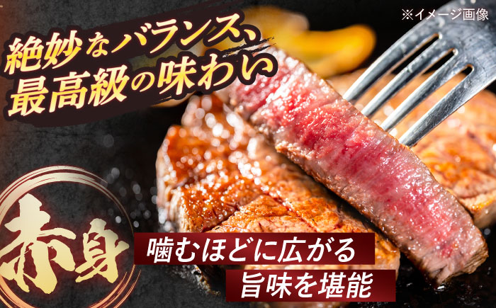 【2回定期便】A5ランク 特選 サーロインステーキ 4枚計1kg / 長崎県産 長崎和牛 牛肉 和牛 ステーキ サーロイン / 諫早市 / 焼肉おがわ [AHCD028]