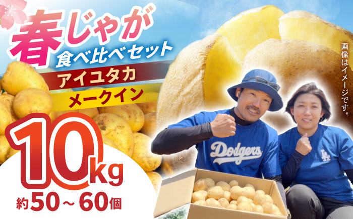 春ジャガ味くらべセット（アイユタカ・メークイン）/ じゃがいも ジャガイモ ポテト 九州 あいゆたか アイユタカ メークイン メイクイーン 野菜 やさい / 諫早市 / スマイルファーム　 [AHFG011]