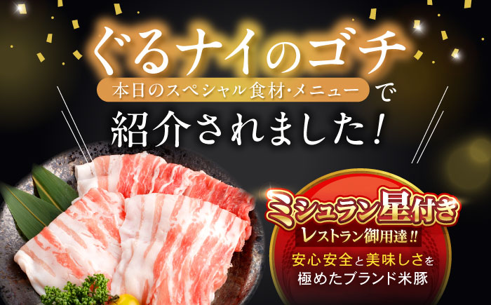【3回定期便】黒豚諫美豚プレミアム100 バラ肉 しゃぶしゃぶ用 500g(250g×2P) / 豚肉 ぶたにく バラ ばら 豚バラ シャブシャブ しゃぶしゃぶ / 諫早市 / 株式会社土井農場 [AHAD114]