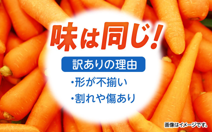 【訳あり】滝さんの人参10kg / にんじん ニンジン 人参 キャロット きゃろっと やさい 野菜 訳あり 訳アリ わけあり ワケアリ / 諫早市 / 滝商店株式会社 [AHCU005]