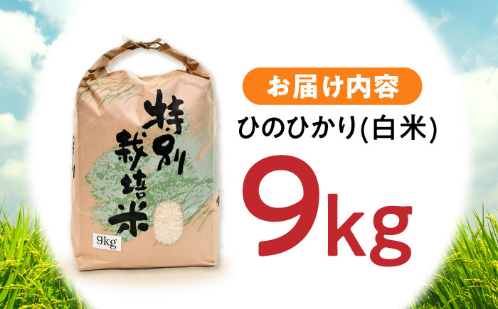 【年内配送】(12/23入金分まで)【R7年新米】九州のこだわり「ひのひかり」白米 9kg / 米 おこめ お米 白米 ひのひかり / 諫早市 / 上島農産 [AHAS003] 新米 しんまい