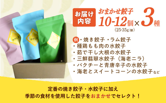 餃子 3種おまかせ便 / ギョウザ ぎょうざ 餃子 焼餃子 水餃子 冷凍 / 諫早市 / 餃子のかわしも [AHBM004]