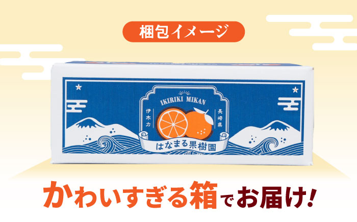 伊木力みかん（家庭用）5kg / みかん ミカン 蜜柑 フルーツ 果物 / 諫早市 / 山野果樹園 [AHCF002]