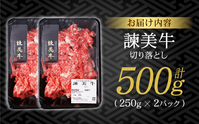 【特Aのブランド米で育てた】諫美牛 切り落とし 500g(250g×2) / 牛肉 ぎゅうにく 和牛 牛 肉 国産 切り落とし 切り落し 切りおとし / 諫早市 / 株式会社土井農場 [AHAD090]