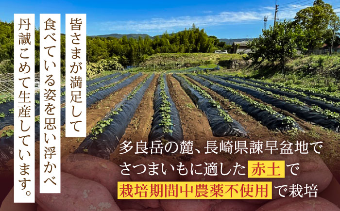 【訳あり】栽培期間中農薬不使用 安納芋 10kg / いも イモ 芋 さつまいも サツマイモ 安納芋 野菜 スイーツ / ふるさと有明ファーム [AHAQ001]