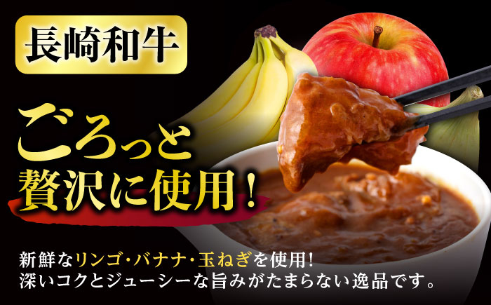 【6回定期便】 【肉のプロが贈る 究極のカレー】長崎和牛 カレー 約275g×4袋 / カレーライス かれー レトルト 牛 和牛 / 諫早市 / 野中精肉店 [AHCW099]