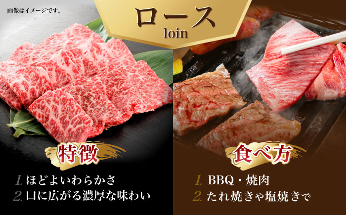 【6回定期便】長崎和牛ロース焼肉用(550g)　/　長崎和牛　ブランド牛　ロース　焼き肉　牛　牛肉　/　諫早市　/　長崎県央農業協同組合Aコープ本部 [AHAA025]