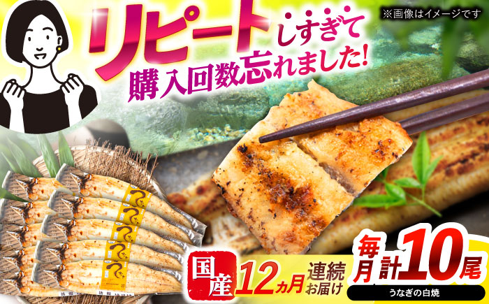 【12回定期便】【諫早淡水】うなぎ白焼き10尾  / うなぎ 白焼き 栄養価 小分け 冷凍 / 諫早市 / 諫早淡水 [AHAT044]