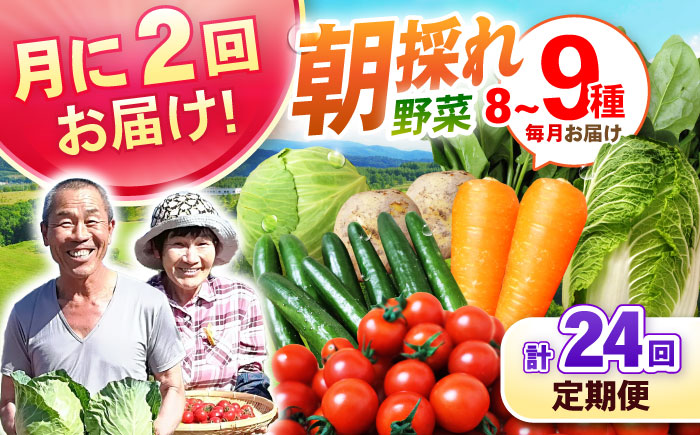 月2回お届け 【24回定期便】諫早産 野菜の詰め合わせ 8～9品目程度 / 季節 旬 野菜 やさい 春野菜 夏野菜 秋野菜 野菜セット 詰め合わせ 野菜定期 野菜定期便 定期便 / 諫早市 / 肥前グローカル株式会社 [AHDI015]