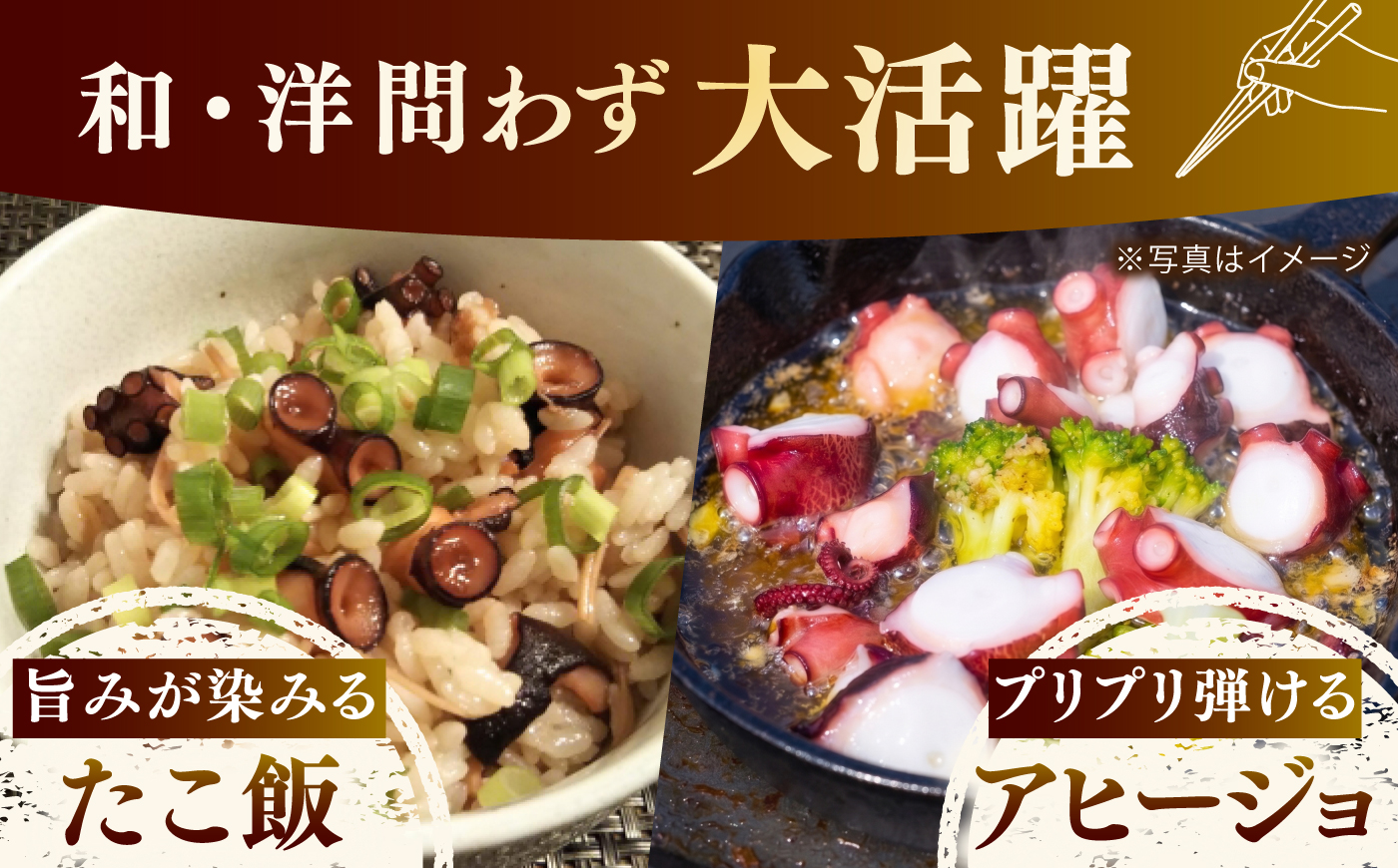 【肉厚、極上の旨味】冷凍ボイルタコ 約800g / タコ たこ 蛸 ボイル ボイルタコ 冷凍 冷凍タコ 丸蛸 丸ごと 産地直送 / 諫早市 / 橘湾中央漁業協同組合 [AHDP006]