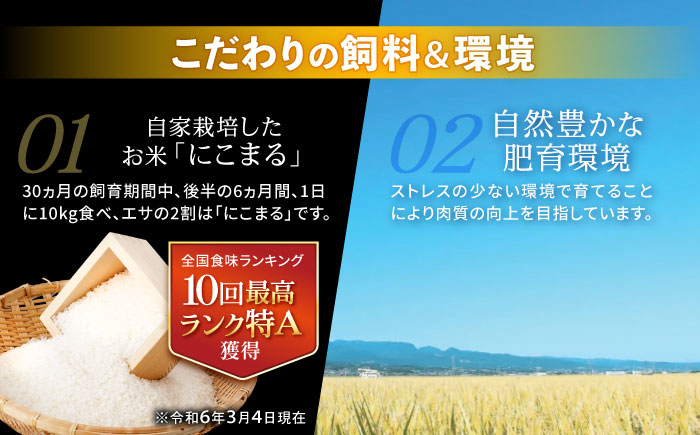 【特Aのブランド米で育てた】諫美牛 上カルビ 500g(250g×2) / 牛肉 ぎゅうにく 和牛 肉 焼肉 やきにく 国産 カルビ かるび / 諫早市 / 株式会社土井農場 [AHAD101]