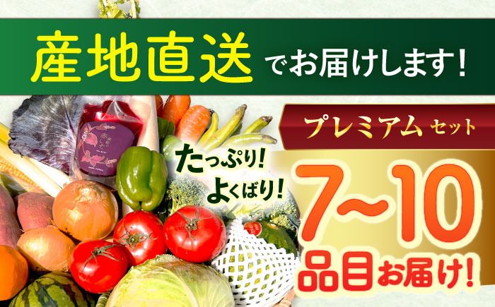 【12回定期便】野菜等詰め合わせプレミアムセット(7〜10品目) / 野菜 果物 フルーツ くだもの きのこ しそ / 諫早市 / 松尾農園 [AHAY027]