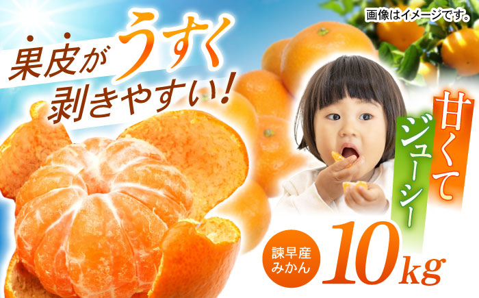 諫早産みかん 10kg / みかん ミカン 蜜柑 フルーツ ふるーつ 果物 くだもの 10kg / 諫早市 / 松尾農園 [AHAY028]