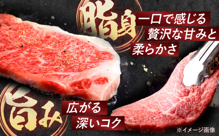 【3回定期便】A5ランク サーロインステーキ 2枚計400g / 長崎県産 長崎和牛 牛肉 和牛 牛 サーロイン ステーキ / 諫早市 / 焼肉おがわ[AHCD007]