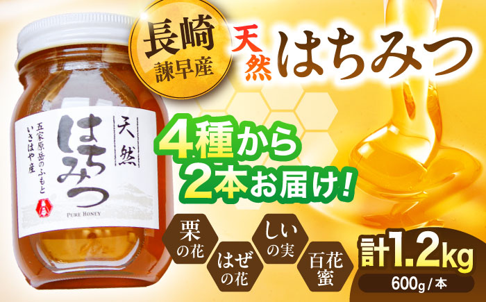 長崎県産天然はちみつ600g×2本セット / 百花蜜 百花蜂蜜 蜂蜜 はちみつ ハチミツ / 諫早市 / 坂口養蜂 [AHDB003]