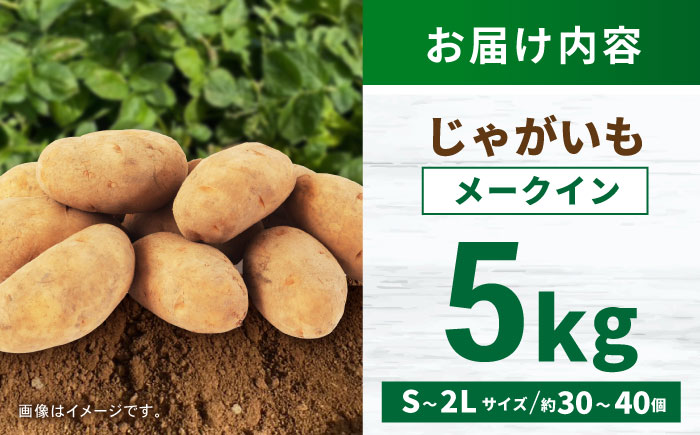 じゃがいも メークイン 5kg (S～2Lサイズ/約30～40個) / じゃがいも ジャガイモ ポテト 九州 メークイン メイクイーン 野菜 やさい / 諫早市 / スマイルファーム　 [AHFG003]