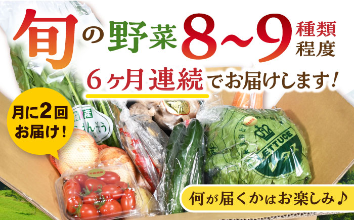 月2回お届け【12回定期便】諫早産 野菜の詰め合わせ 8～9品目程度 / 季節 旬 野菜 やさい 春野菜 夏野菜 秋野菜 野菜セット 詰め合わせ 野菜定期 野菜定期便 定期便 / 諫早市 / 肥前グローカル株式会社 [AHDI014]