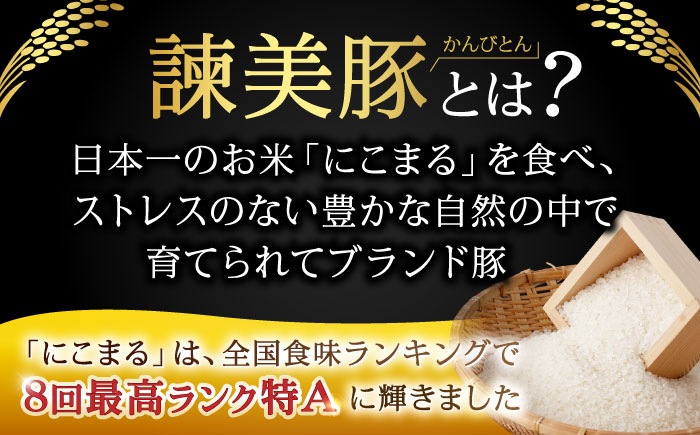 【6回定期便】諫美豚のロースステーキセット800g / 諫美豚 ロース ロースステーキ ステーキ 豚肉 / 諫早市 / 株式会社土井農場 [AHAD038]