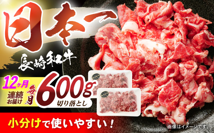 【12回定期便】長崎和牛 切落し 300g×2パック / 長崎和牛 切落し 和牛 国産牛 牛肉 / 諫早市 / 有限会社長崎フードサービス [AHDD008]