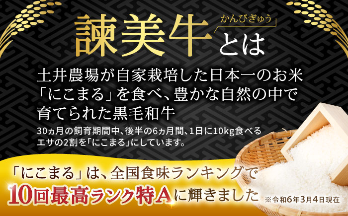 【特Aのブランド米で育てた】諫美牛 しゃぶしゃぶ・すき焼き用 500g(250g×2) / 牛肉 ぎゅうにく 和牛 牛 肉 国産 しゃぶしゃぶ すき焼き / 諫早市 / 株式会社土井農場 [AHAD092]