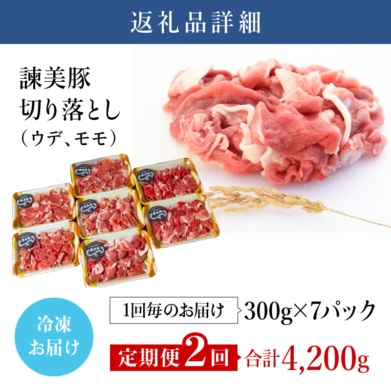 【2回定期便】豚肉切り落とし2.1kg!諫早平野の米で育てた諫美豚 / 諫美豚 豚肉 切り落とし 肉 豚 お肉 国産 人気 スライス / 諫早市 / 株式会社土井農場 [AHAD012]