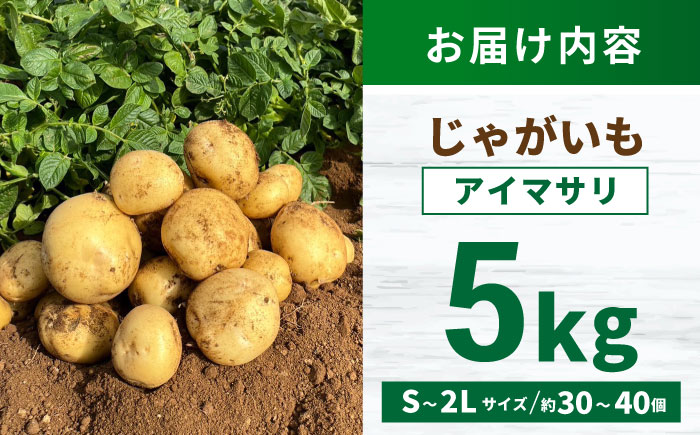 じゃがいも アイマサリ 5kg (S～2Lサイズ/約30～40個) / じゃがいも ジャガイモ ポテト 九州 あいまさり アイマサリ 野菜 やさい / 諫早市 / スマイルファーム　 [AHFG005]