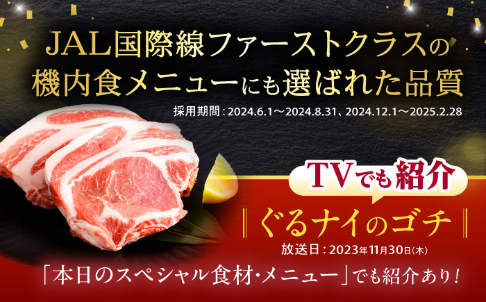 【3回定期便】＜特Aのブランド米で育てた＞黒豚諫美豚プレミアム100 5種セット 計1.2kg( ロースステーキ バラ モモ 切り落とし ひき肉 ) / 豚肉 ロース ステーキ 挽き肉 ミンチ / 諫早市 / 株式会社土井農場 [AHAD111]
