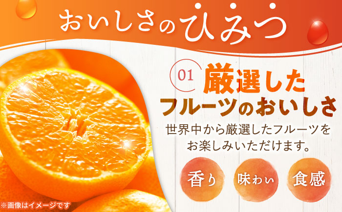 【最速発送】たらみ くだもの屋さんみかん 160g (1箱 6個入) / 旬摘み 厳選果実 ゼリー フルーツゼリー 果実ゼリー 果物ゼリー みかん / 諫早市 / 株式会社たらみ [AHBR009] スピード 最短 最速 発送