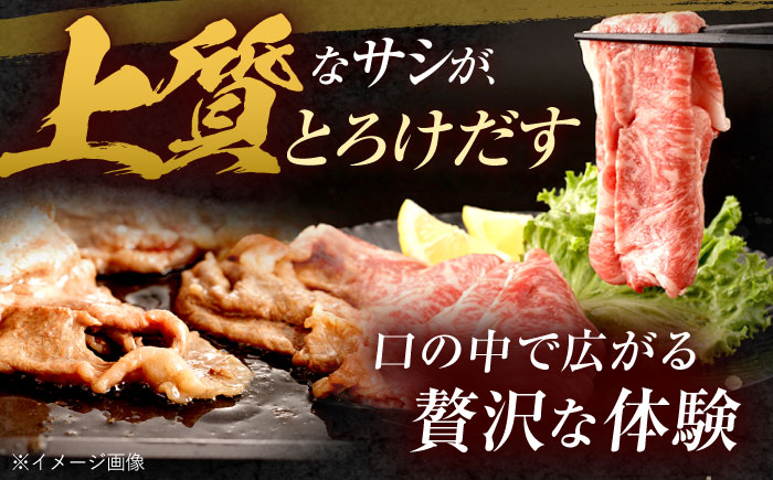 【3回定期便】長崎和牛 ローススライス 600g / 牛肉 ぎゅうにく 肉 和牛 国産牛 すき焼き しゃぶしゃぶ?/ 諫早市 / 西日本フード株式会社 [AHAV040]