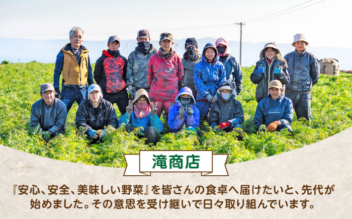 【甘みと栄養たっぷり！】 真っ赤な人参 「紅天神」 10kg / にんじん ニンジン 人参 やさい 野菜 / 諫早市 / 滝商店株式会社 [AHCU002]