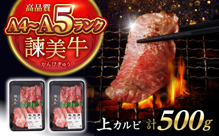 【特Aのブランド米で育てた】諫美牛 上カルビ 500g(250g×2) / 牛肉 ぎゅうにく 和牛 肉 焼肉 やきにく 国産 カルビ かるび / 諫早市 / 株式会社土井農場 [AHAD101]