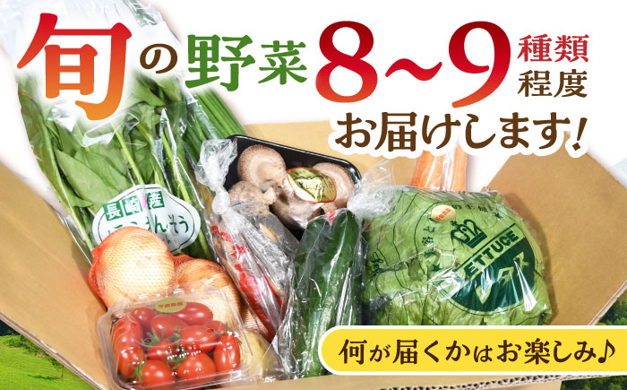 諫早産野菜の詰め合わせ(8〜9品目程度) / 季節 旬 野菜 春野菜 夏野菜 秋野菜  / 諫早市 / 肥前グローカル株式会社 [AHDI004]