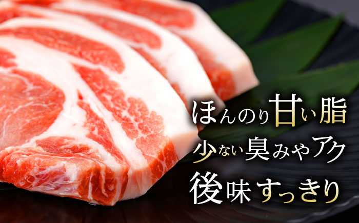 【3回定期便】諫美豚おすすめバラエティセット3kg / 諫美豚 豚肉 肩ロース ステーキ モモ 切り落とし ハンバーグ ロースステーキ / 諫早市 / 株式会社土井農場 [AHAD002]