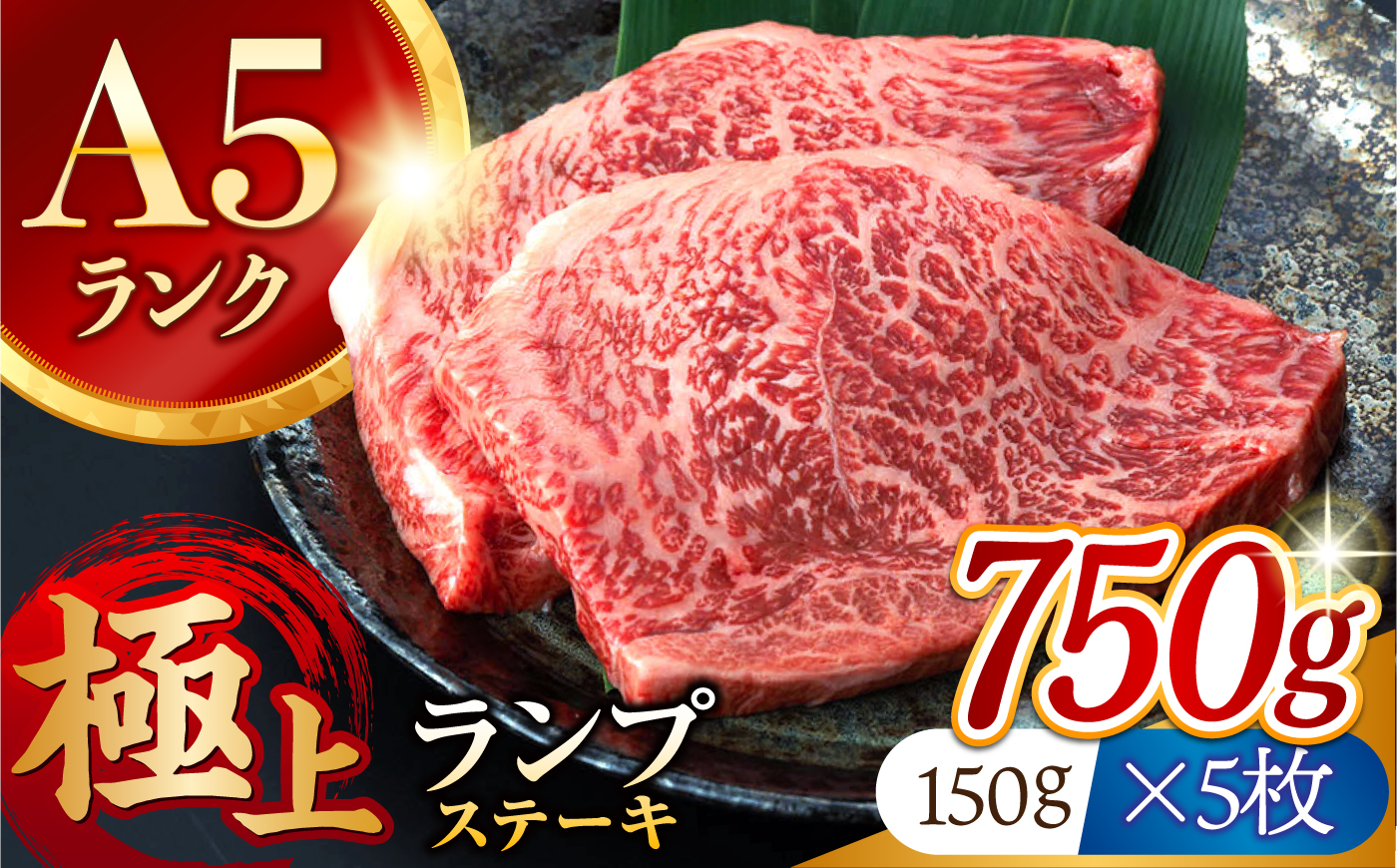 長崎和牛 A5 ランプステーキ 750g(150g×5枚) / 牛肉 らんぷ ランプステーキ 国産牛 ステーキ肉 和牛ステーキ ランプステーキ肉 ランプ肉 A5 5枚 赤身 赤身ステーキ / 諫早市 / 野中精肉店 [AHCW173]