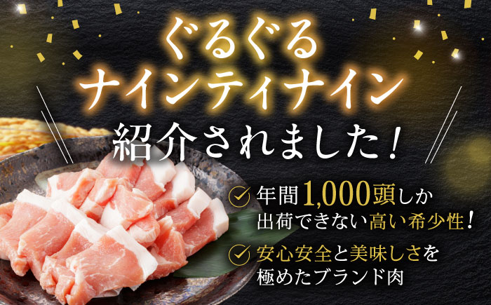 諫美豚しゃぶしゃぶ焼肉ハンバーグセット計2.7kg / 豚肉 ロース モモ 肩ロース バラ ハンバーグ 小分け / 諫早市 / 株式会社土井農場 [AHAD056]