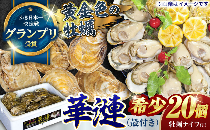 「かき日本一決定戦」グランプリ受賞　諫早市小長井牡蠣　華漣 (殻付き)20個入り カキナイフ・軍手付き / 牡蠣 かき カキ 小長井牡蠣 貝 / 諫早市 / 諫早湾漁業共同組合 [AHBJ009]