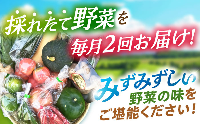 月2回お届け【24回定期便】諫早産 野菜の詰め合わせ 8～9品目程度 / 季節 旬 野菜 やさい 春野菜 夏野菜 秋野菜 野菜セット 詰め合わせ 野菜定期 野菜定期便 定期便 / 諫早市 / 肥前グローカル株式会社 [AHDI015]