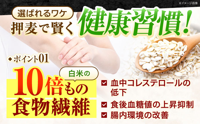 押麦「長崎御島」1kg×10袋 計10kg / 麦 むぎ 押麦 はだか麦 麦味噌 雑穀 雑穀米 食物繊維 長崎県産 米 こめ コメ ※ / 諫早市 / 有限会社伊東精麦 [AHBU009] 