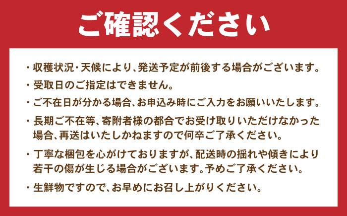 ※【2025年11月発送分／先行予約】伊木力みかん（大玉）10kg / みかん ミカン 蜜柑 フルーツ 果物 / 諫早市 / 山野果樹園 [AHCF005]