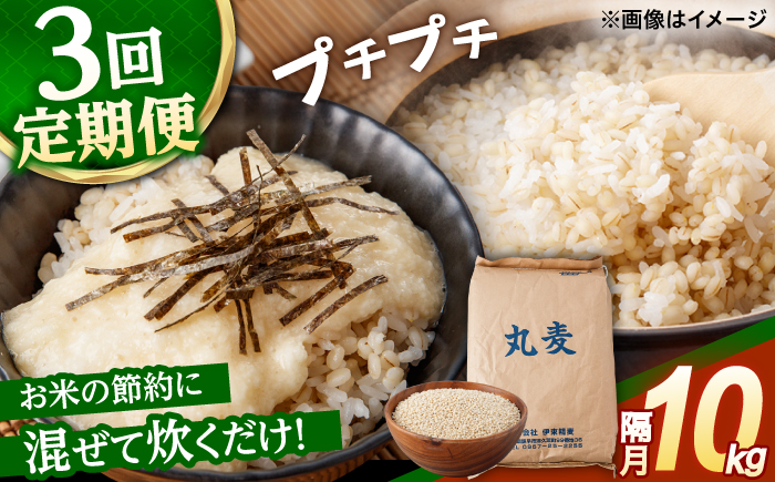 もち麦よりも『ぷりっ』とした弾力 【隔月3回定期便】長崎県産 丸麦 10kg / 麦 むぎ 雑穀 雑穀米 麦ごはん 麦飯 麦みそ 食物繊維 長崎県産 米 こめ コメ ※ / 諫早市 / 有限会社伊東精麦 [AHBU006]