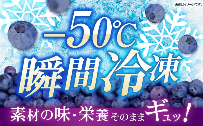 長崎冷果 ブルーベリー 3袋セット　/ 冷凍 冷凍フルーツ ブルーベリー ベリー / 諫早市 / エスジーエス株式会社 [AHEQ004]