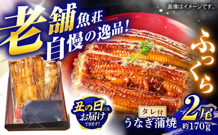 魚荘のうなぎ蒲焼き(2尾入り) / うなぎ ウナギ 鰻 蒲焼き 蒲焼 / 諫早市 / 有限会社魚荘 [AHCK002] 丑の日 土用丑の日