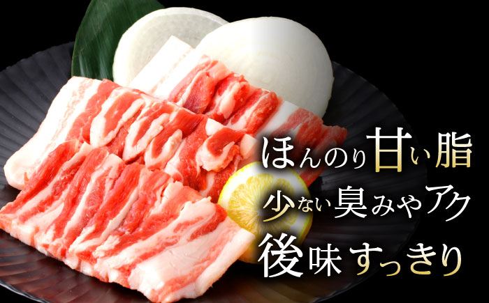 諫美豚焼肉セット計1.2kg / 豚肉 ロース バラ モモ 焼肉 小分け / 諫早市 / 株式会社土井農場 [AHAD057]